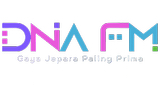 Logo DNA FM LOVES