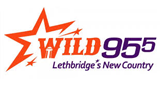 Logo Wild 95.5