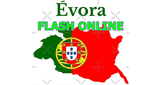 Logo Evora Flash Online