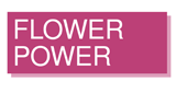 Logo Kronehit Flower Power