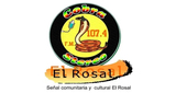 Logo Cobra Stereo