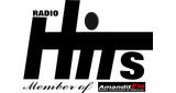 Logo Hits Radio Kandangan