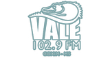Logo Vale 102 FM