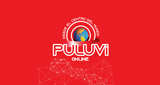 Logo Puluvi Online