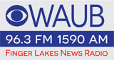 Logo Finger Lakes News Radio
