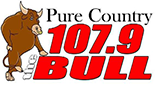 Logo The Bull