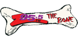 Logo Z95 The Bone