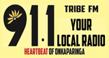 Logo Tribe FM