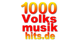 Logo 1000 Volksmusikhits