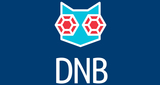 Logo Sky Plus DNB