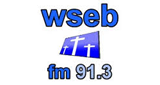 Logo WSEB 91.3 FM