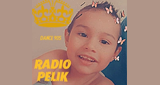 Logo Radio Pelik