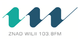 Logo Znad Willii