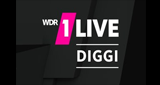 Logo 1LIVE Diggi