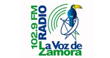Logo La Voz de Zamora