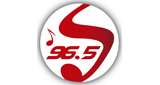 Logo Sentimientos