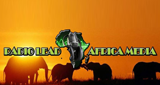 Logo Radio Lead Africa