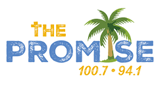 Logo The Promise