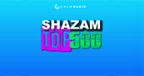 Logo Calm Radio Shazam Top 500