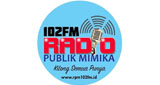 Logo RPM 102 Timika