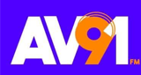 Logo Avenida 91