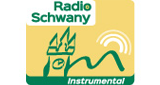 Logo Schwany Radio 11 - Instrumental