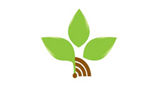 Logo New Life Radio