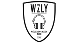 Logo WZLY 91.5