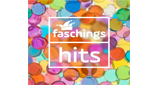 Logo Antenne Bayern Faschings Hits
