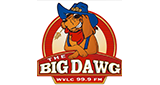 Logo The Big Dawg