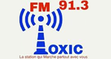 Logo Radio Toxic FM 91.3