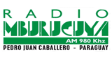 Logo Radio Mburucuyá
