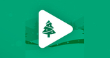 Logo Northants Xmas
