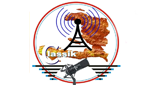 Logo Radio Classic FM