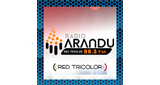 Logo Radio Arandú