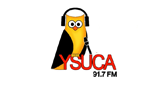 Logo YSUCA