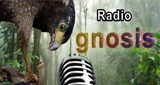 Logo Radio Gnosis