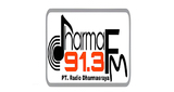 Logo Dharma FM