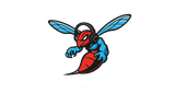 Logo DSU Radio (Delaware State University)