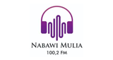 Logo Nabawi Mulia FM