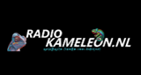 Logo Radio Kameleon