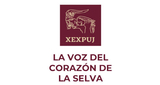 Logo XEXPUJ La Voz del Corazón de la Selva
