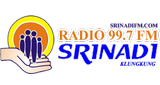 Logo Srinadi FM