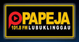 Logo Papeja FM