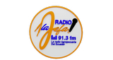 Logo Radio La Jefa 91.3 FM