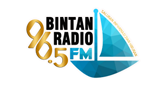 Logo Bintan Radio