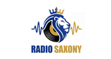 Logo Radio Saxony