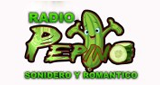 Logo Pepino Sonidero Y Romantico Radio