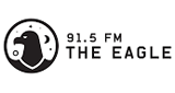 Logo WJHS 91.5 FM "The Eagle"