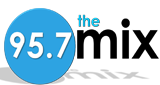 Logo The Mix